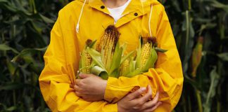 Silo Shines a Light, Smooths Kinks in Agricultural Supply Chain