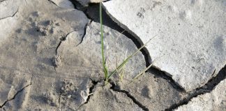 UN Climate Report’s Warnings and Opportunities, in 5 Takeaways