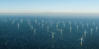 Death Toll for Petrol: BNP Says Pivot to Renewables, Dump Fossil Fuels