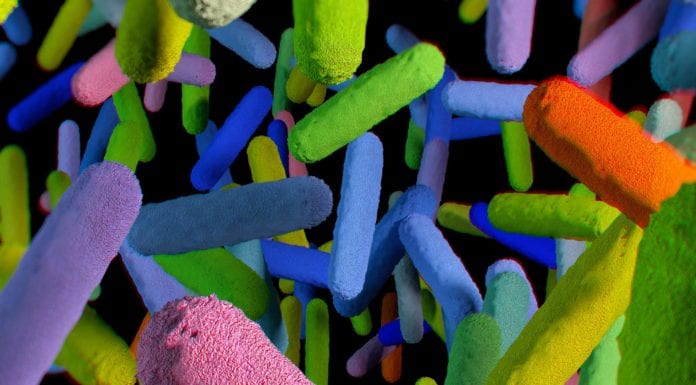 Biotech Startup Luca Mines Women’s Biome Data to Treat UT Infections, Other Health Issues