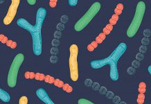 Microbiome Experts Call Out Technology’s Limits, Saying it’s Still Early Days of Personalized Medicine Karma_News Analysis_probiotics