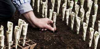 Protect the Environment, Borrow at Discounted Rates: The Rise of Sustainable Loans money in soil