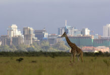 Actis Profits From Building Green While Bringing Power to Millions Karma_Impact News_Actis