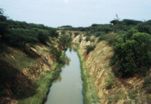 Solar Panels Blossom Over India’s Canals Karma_Impact News_Canal in India